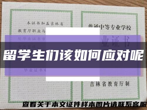 留学生们该如何应对呢缩略图