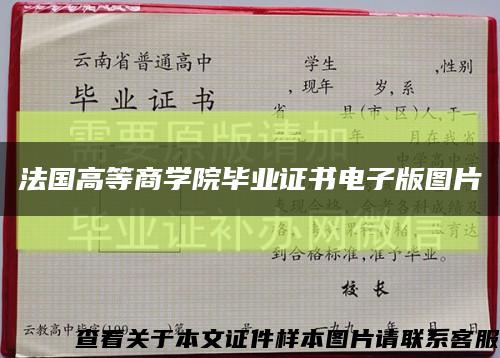 法国高等商学院毕业证书电子版图片缩略图