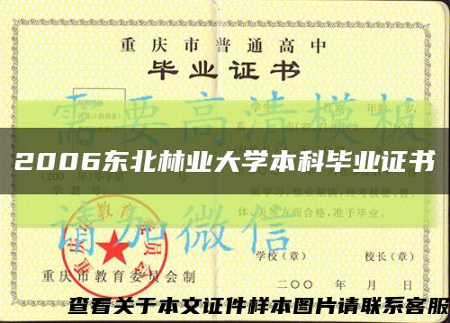 2006东北林业大学本科毕业证书缩略图