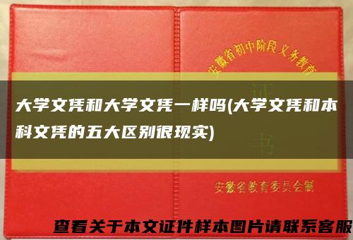大学文凭和大学文凭一样吗(大学文凭和本科文凭的五大区别很现实)缩略图
