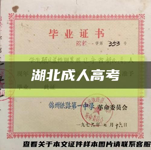 湖北成人高考缩略图