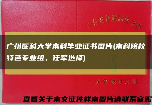 广州医科大学本科毕业证书图片(本科院校特色专业组，任军选择)缩略图