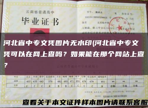 河北省中专文凭图片无水印(河北省中专文凭可以在网上查吗？如果能在那个网站上查？缩略图