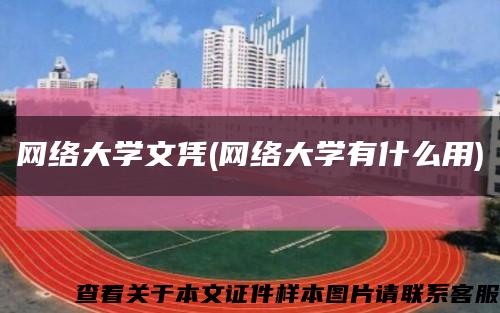 网络大学文凭(网络大学有什么用)缩略图