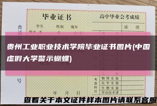 贵州工业职业技术学院毕业证书图片(中国虚假大学警示蝴蝶)缩略图