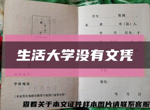 生活大学没有文凭缩略图