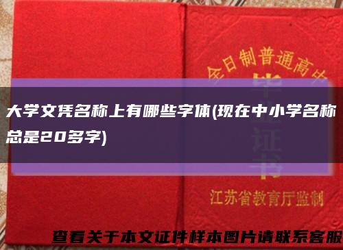 大学文凭名称上有哪些字体(现在中小学名称总是20多字)缩略图