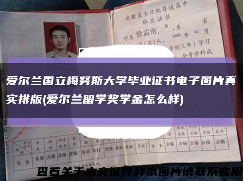 爱尔兰国立梅努斯大学毕业证书电子图片真实排版(爱尔兰留学奖学金怎么样)缩略图