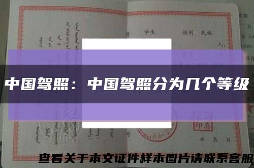 中国驾照：中国驾照分为几个等级缩略图