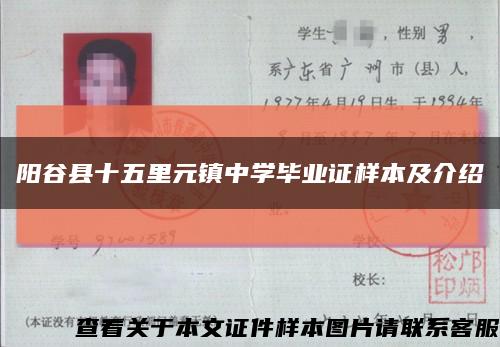 阳谷县十五里元镇中学毕业证样本及介绍缩略图