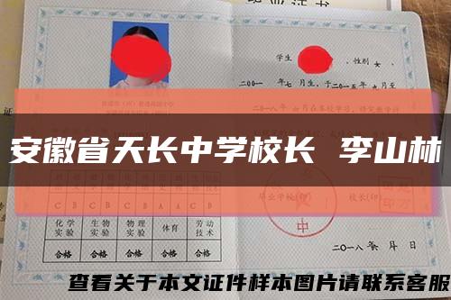 安徽省天长中学校长 李山林缩略图