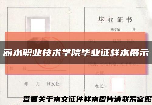 丽水职业技术学院毕业证样本展示缩略图