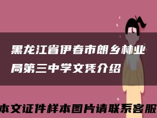 黑龙江省伊春市朗乡林业局第三中学文凭介绍缩略图