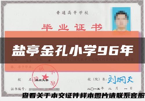 盐亭金孔小学96年缩略图
