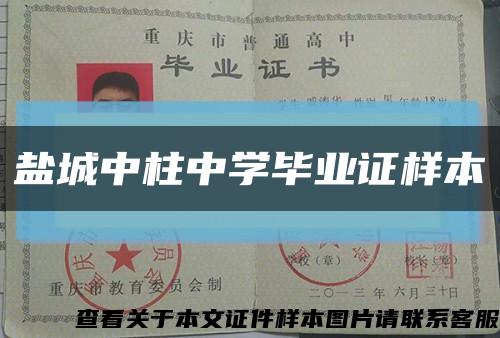 盐城中柱中学毕业证样本缩略图