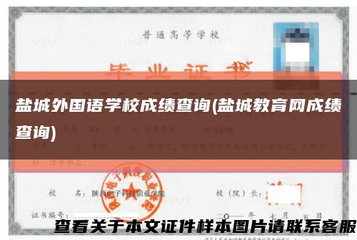 盐城外国语学校成绩查询(盐城教育网成绩查询)缩略图