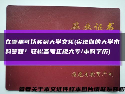 在哪里可以买到大学文凭(实现你的大学本科梦想！轻松备考正规大专/本科学历)缩略图