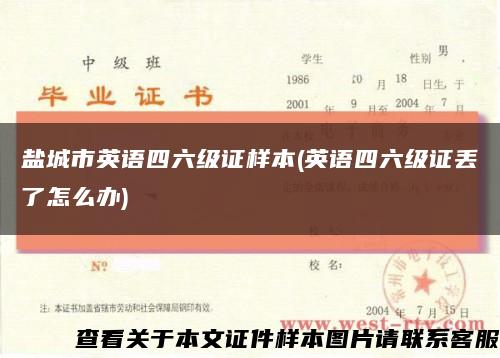 盐城市英语四六级证样本(英语四六级证丢了怎么办)缩略图