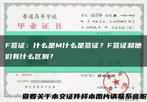 F签证：什么是M什么是签证？F签证和他们有什么区别？缩略图