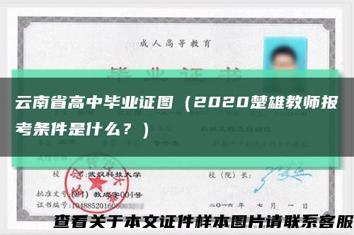 云南省高中毕业证图（2020楚雄教师报考条件是什么？）缩略图