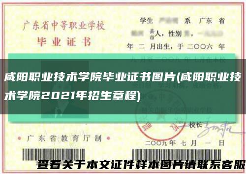 咸阳职业技术学院毕业证书图片(咸阳职业技术学院2021年招生章程)缩略图