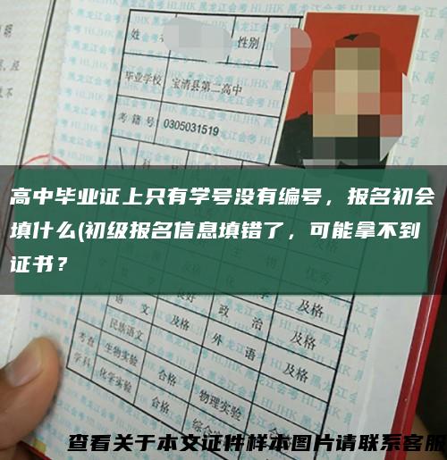 高中毕业证上只有学号没有编号，报名初会填什么(初级报名信息填错了，可能拿不到证书？缩略图