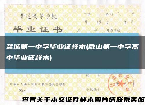 盐城第一中学毕业证样本(微山第一中学高中毕业证样本)缩略图