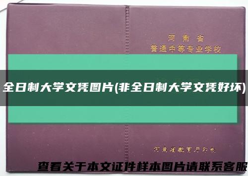 全日制大学文凭图片(非全日制大学文凭好坏)缩略图