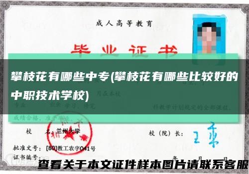 攀枝花有哪些中专(攀枝花有哪些比较好的中职技术学校)缩略图