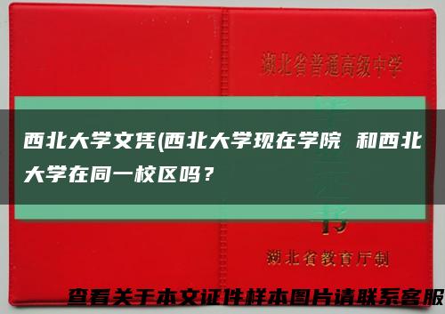 西北大学文凭(西北大学现在学院 和西北大学在同一校区吗？缩略图