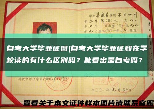 自考大学毕业证图(自考大学毕业证和在学校读的有什么区别吗？能看出是自考吗？缩略图