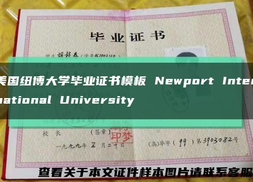 美国纽博大学毕业证书模板 Newport International University缩略图