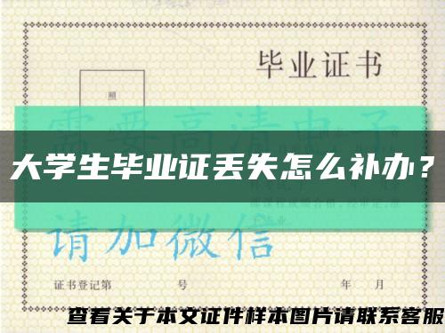 大学生毕业证丢失怎么补办？缩略图