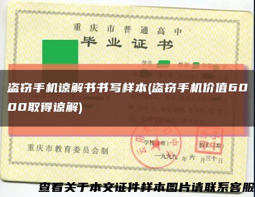 盗窃手机谅解书书写样本(盗窃手机价值6000取得谅解)缩略图