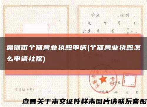 盘锦市个体营业执照申请(个体营业执照怎么申请社保)缩略图