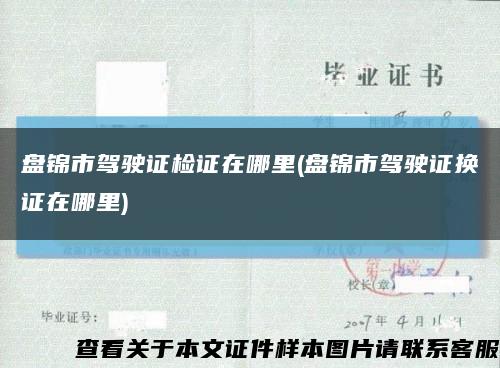 盘锦市驾驶证检证在哪里(盘锦市驾驶证换证在哪里)缩略图