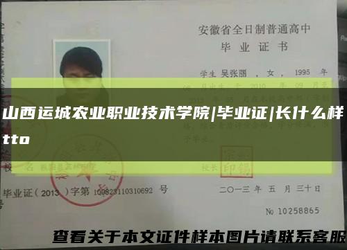 山西运城农业职业技术学院|毕业证|长什么样tto缩略图