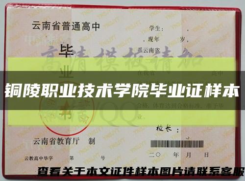 铜陵职业技术学院毕业证样本缩略图