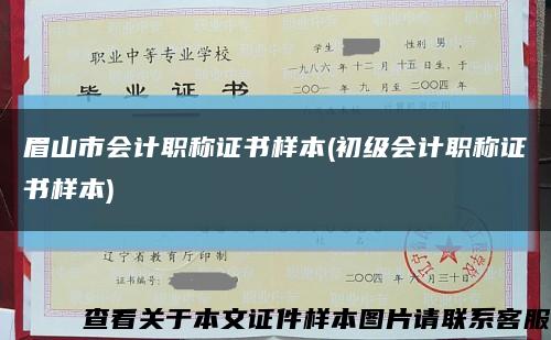 眉山市会计职称证书样本(初级会计职称证书样本)缩略图