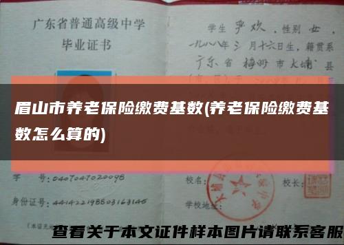 眉山市养老保险缴费基数(养老保险缴费基数怎么算的)缩略图