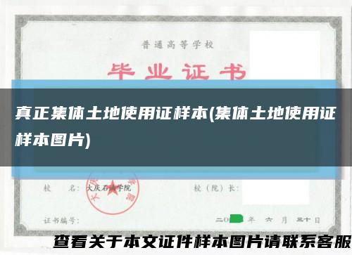 真正集体土地使用证样本(集体土地使用证样本图片)缩略图