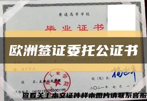 欧洲签证委托公证书缩略图