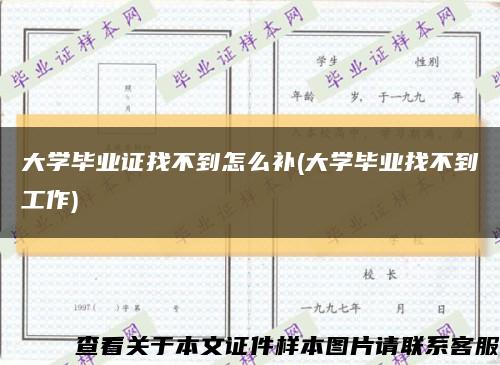 大学毕业证找不到怎么补(大学毕业找不到工作)缩略图