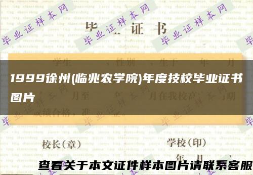 1999徐州(临兆农学院)年度技校毕业证书图片缩略图