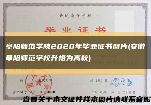 阜阳师范学院2020年毕业证书图片(安徽阜阳师范学校升格为高校)缩略图