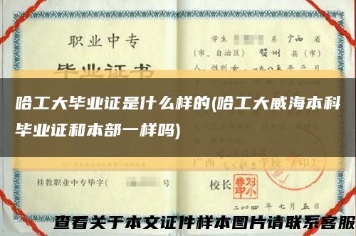 哈工大毕业证是什么样的(哈工大威海本科毕业证和本部一样吗)缩略图