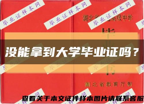没能拿到大学毕业证吗？缩略图