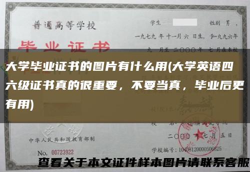 大学毕业证书的图片有什么用(大学英语四六级证书真的很重要，不要当真，毕业后更有用)缩略图