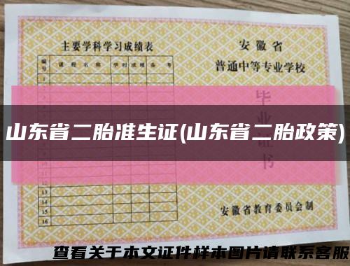 山东省二胎准生证(山东省二胎政策)缩略图