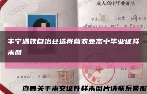 丰宁满族自治县选将营农业高中毕业证样本图缩略图